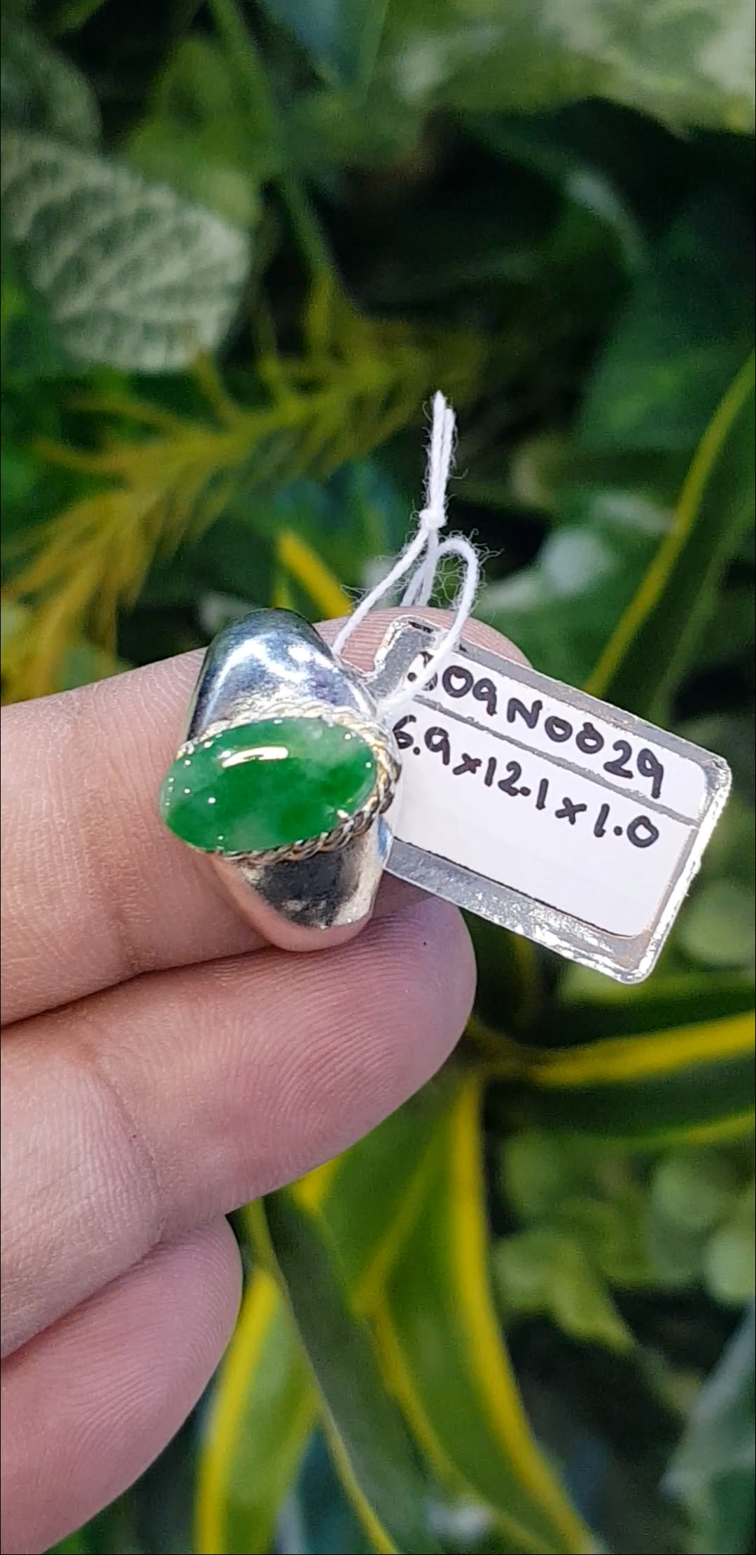 หยก พม่า แท้ Jade แหวนหยก 翡翠戒指 (Jadeite ring) 0.74 กะรัต (Cts.) (Size) 29 ดิบ ไม่ผ่านการปรับปรุง (Type A) พม่า (Myanmar)