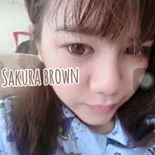 Sweety plus สีน้ำตาล