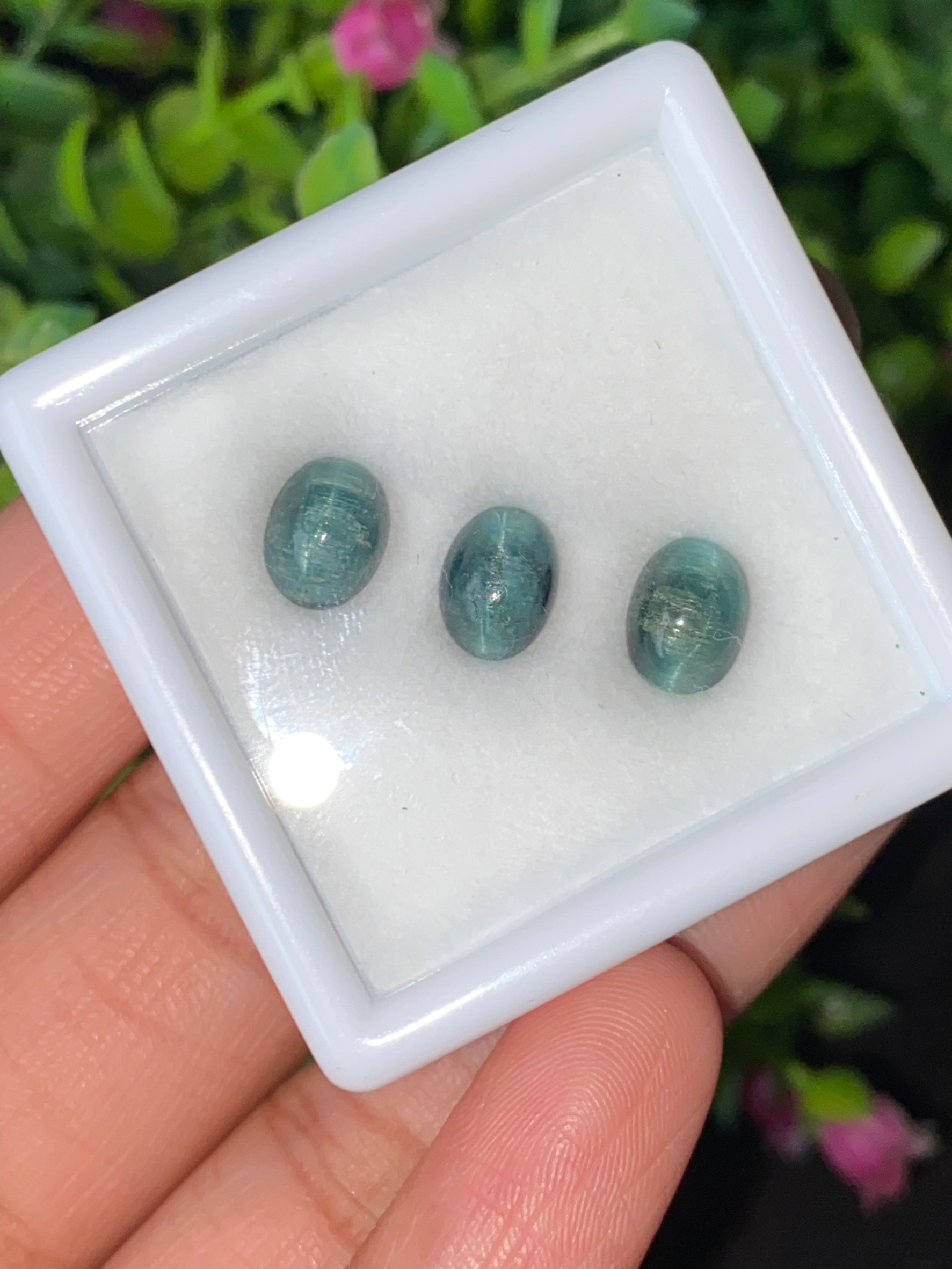 ตาแมว ทัวร์มาลีน Cat eye Tourmaline 4.81 กะรัต Cts. 3 เม็ด (Pcs.) พลอยแท้ อัญมณีมงคลประจําวันเกิด เครื่องประดับพลอย