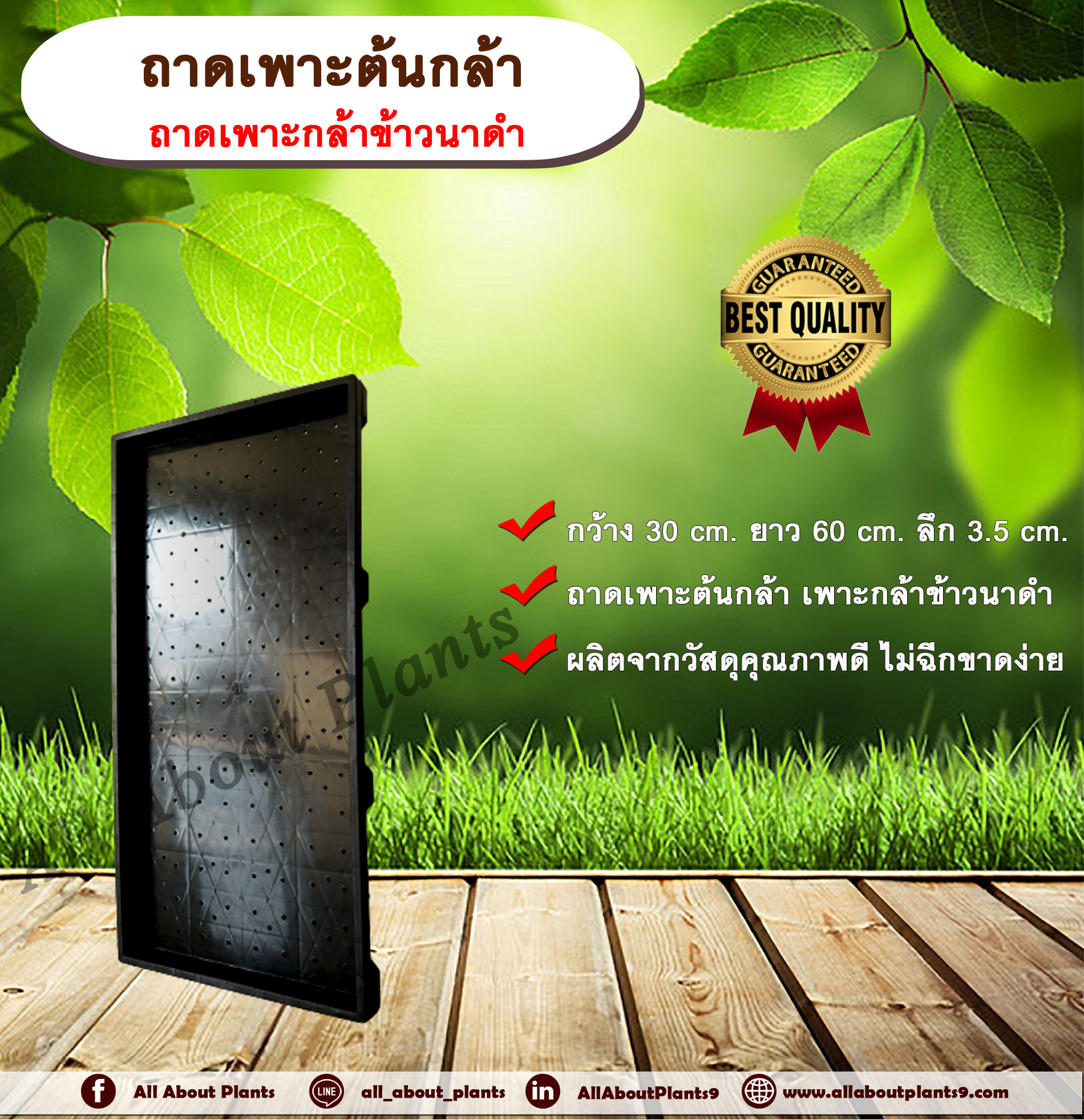 ถาดเพาะต้นกล้า ถาดเพาะกล้าข้าวนาดำ แบบมีรู เพาะกล้าอ่อน ถาดเพาะกล้า ถาดเพาะต้นกล้าผัก ถาดเพาะชำ ถาดเพาะต้นอ่อน ชิ้น