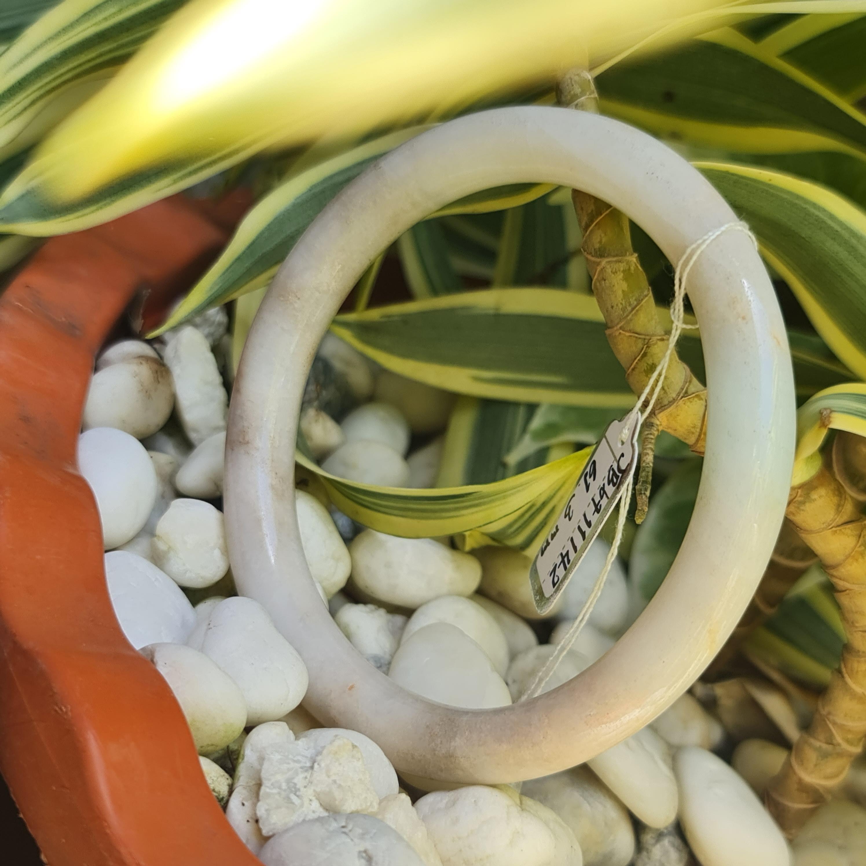 JB6711142 หยก พม่า แท้ Jade กำไลหยก 61.3 มม. (Jadeite bracelet) พม่า (Myanmar)