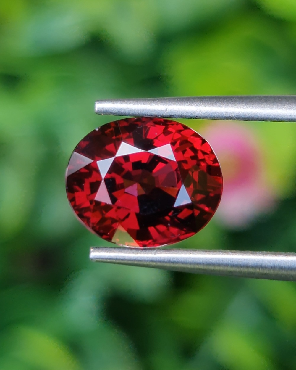 พลอย โรโดไลต์ กาเน็ท Rhodolite Garnet 3.00 กะรัต Cts.พลอยแท้ อัญมณีมงคลประจําวันเกิด เครื่องประดับพลอย