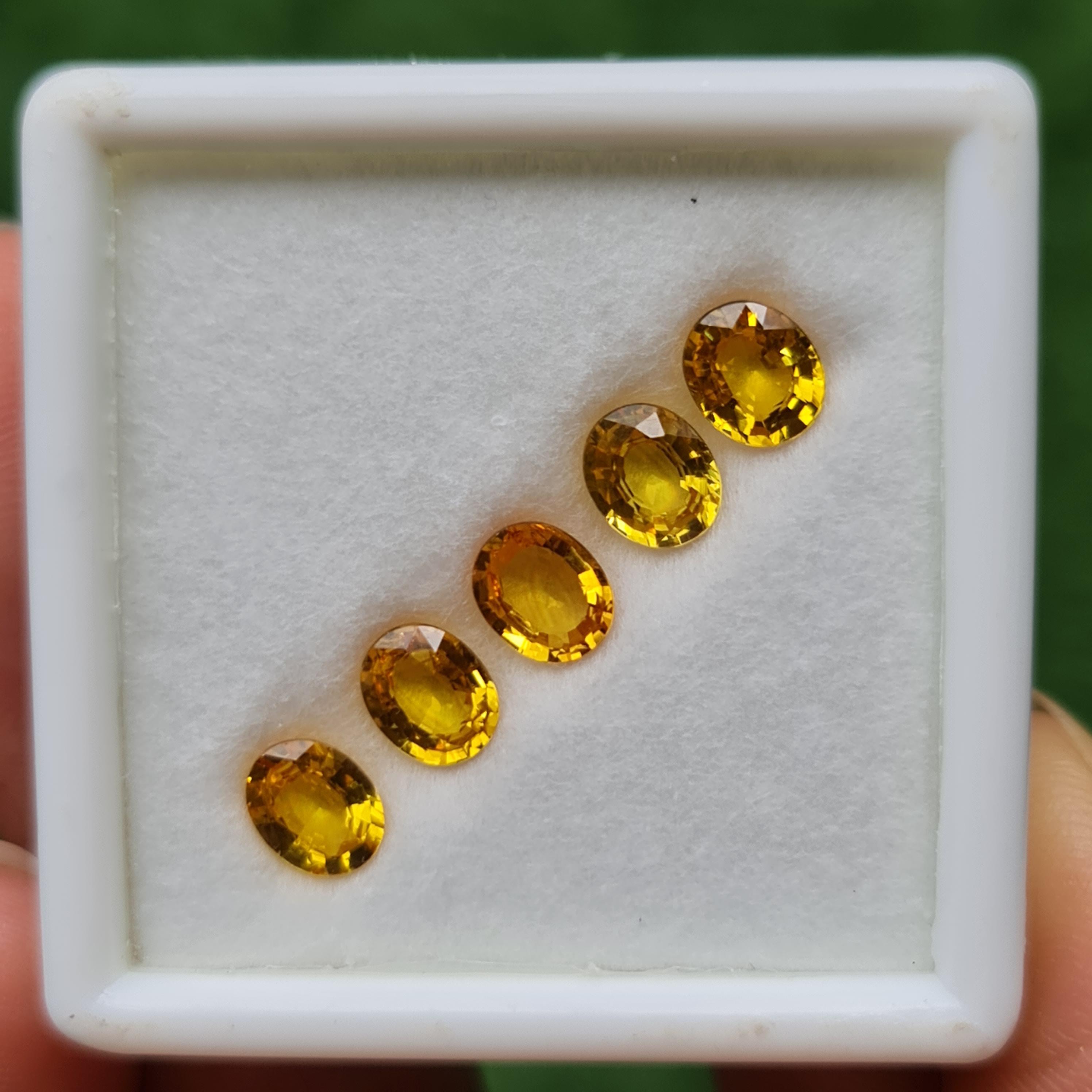 พลอย บุษราคัม yellow sapphire 3.57 กะรัต (Cts.) 5 เม็ด (Pcs.) พลอยแท้ อัญมณีมงคลประจําวันเกิด เครื่องประดับพลอย