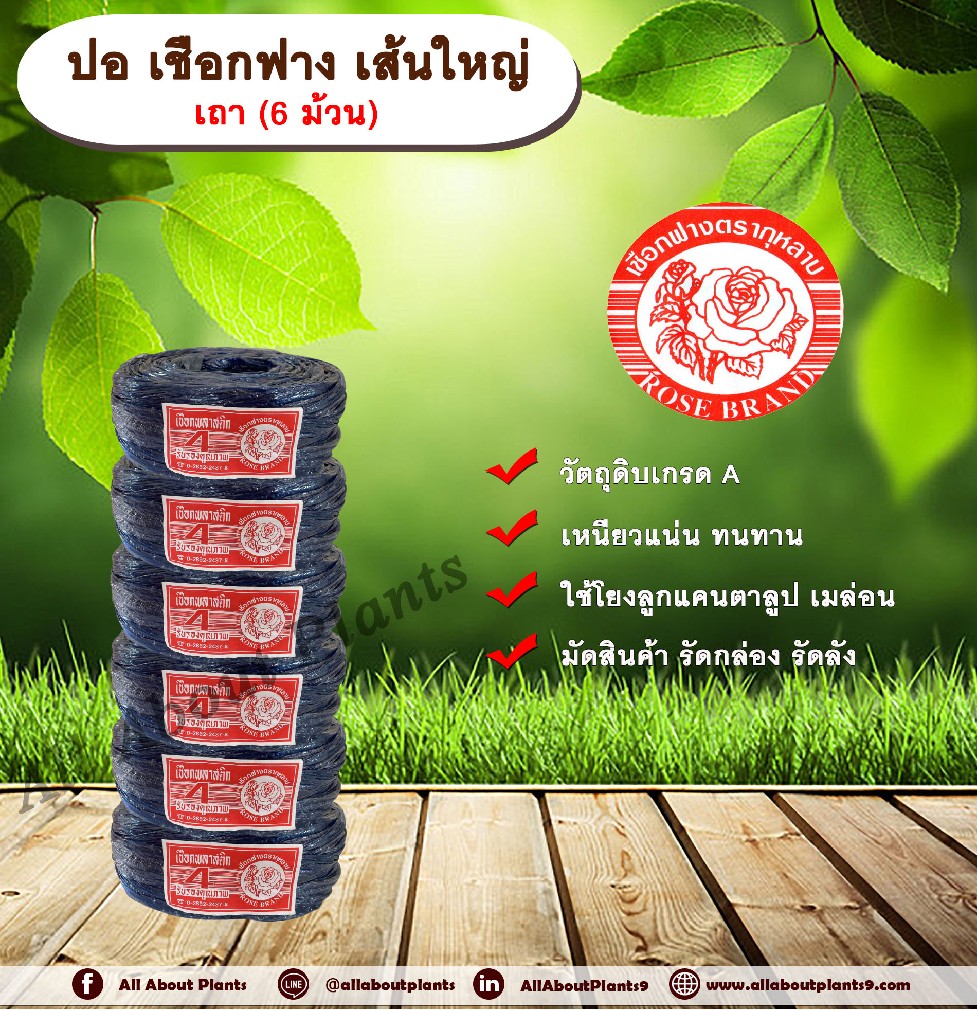 ปอ เชือกฟาง เส้นใหญ่ ตรากุหลาบ เถา (6 ม้วน) ปอกุหลาบเส้นใหญ่ เชือกฟางเส้นใหญ่ ใช้โยงลูกแคนตาลูป เมล่อน มัดสินค้า มัดกล่อง มัดลัง ชิ้น