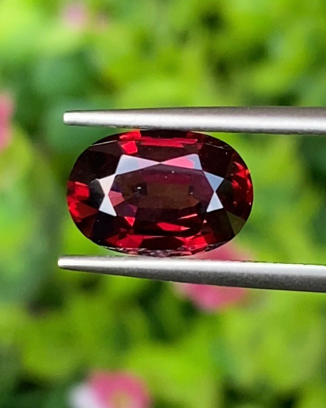 พลอย โรโดไลต์ กาเน็ท Rhodolite Garnet 3.00 กะรัต Cts.พลอยแท้ อัญมณีมงคลประจําวันเกิด เครื่องประดับพลอย