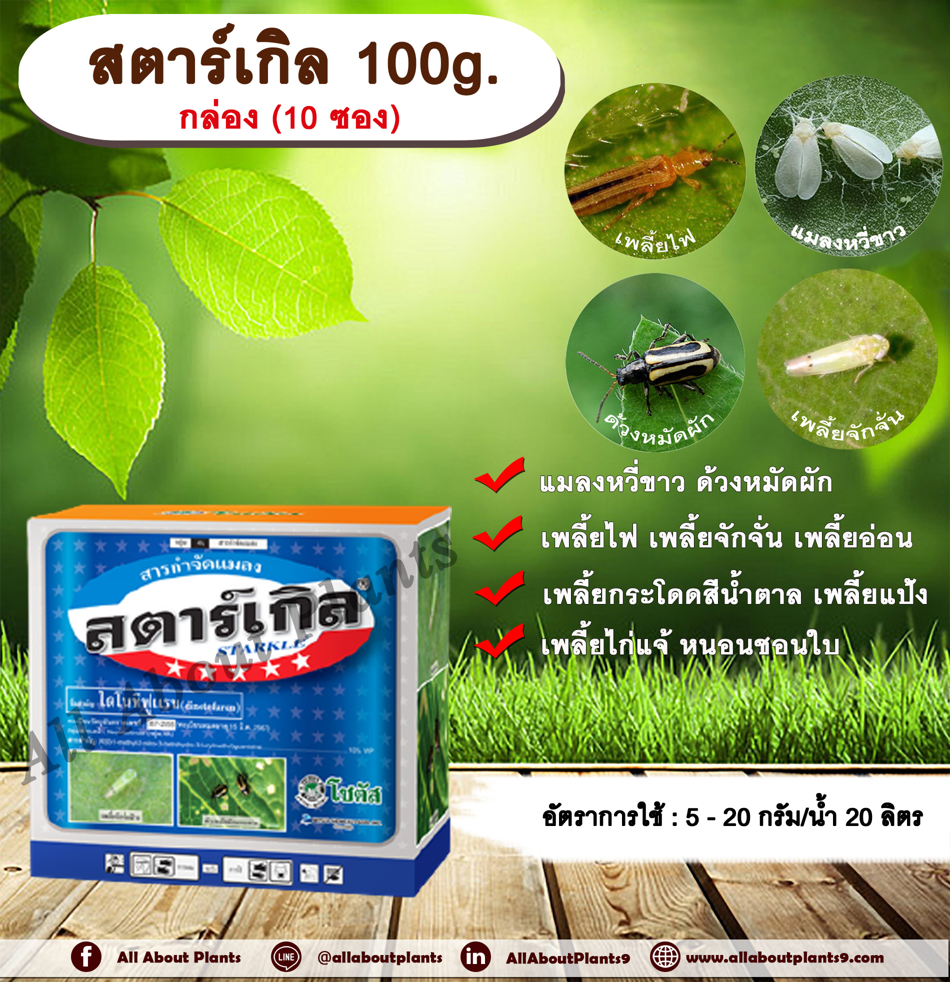 สตาร์เกิล 100g. 1 กล่อง 10 ซอง ไดโนทีฟูแรน สารกำจัดแมลง เพลี้ย แมลง หนอน เพลี้ยไฟ เพลี้ยกระโดด ด้วงหมัดผัก แมลงหวี่ขาว เพลี้ยอ่อน เพลี้ยแป้ง เพลี้ยจักจั่น เพลี้ยไก่แจ้ หนอนชอนใบ ดูดซึม โซตัส allaboutplants ชิ้น
