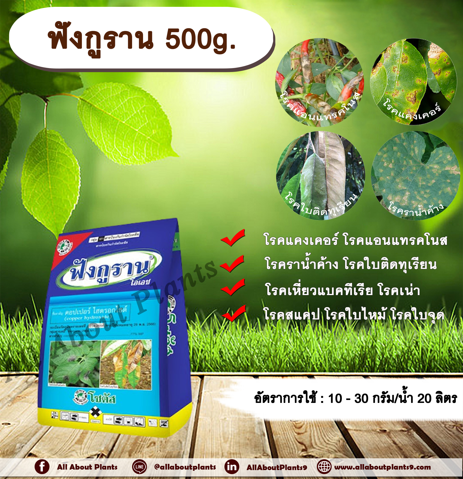 ฟังกูราน 500g. คอปเปอร์ไฮดรอกไซด์ สารกำจัดเชื้อรา สารกำจัดแบคทีเรีย โรคแคงเคอร์ โรคแอนแทรคโนส โรคราน้ำค้าง โรคใบติดทุเรียน โรคเหี่ยวแบคทีเรีย โรคเน่าเละแบคทีเรีย โรคสแคป โรคใบไหม้ โรคใบจุด allaboutplants ชิ้น