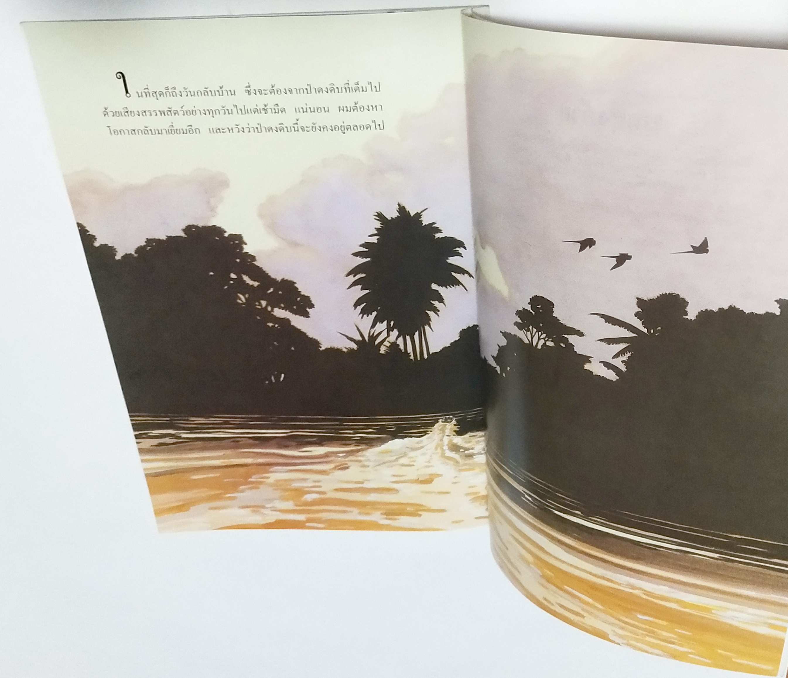 หนังสือภาพสวย ** กลางปกด้านใน หน้าและหลัง และหน้าสุดท้ายมีรอบสก๊อตเทป ภาพสีทั้งเล่ม ศึกษาชนิดพืชและสัตว์ในป่าดงดิบอันอุดมสมบูรณ์ "สิ่งมีชีวิตในป่า" โดย Tatsuhide Matsuoka แปลและเรียบเรียงโดย ดร. ชวลิต วิทยานนท์ พิมพ์ครั้งที่ 2 กันยายน 2547