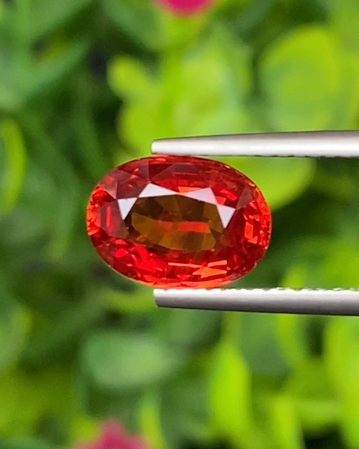 พลอย ทับทิม ซองเจีย Ruby Sapphire 2.66 กะรัต (Cts) พลอยแท้ อัญมณีมงคลประจําวันเกิด เครื่องประดับพลอย