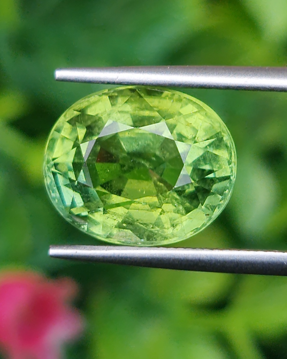 พลอย กรีน ทัวร์มารีน (Green Tourmaline) 6.80 กะรัต (Cts.) อัญมณีมงคลประจําวันเกิด เครื่องประดับพลอย