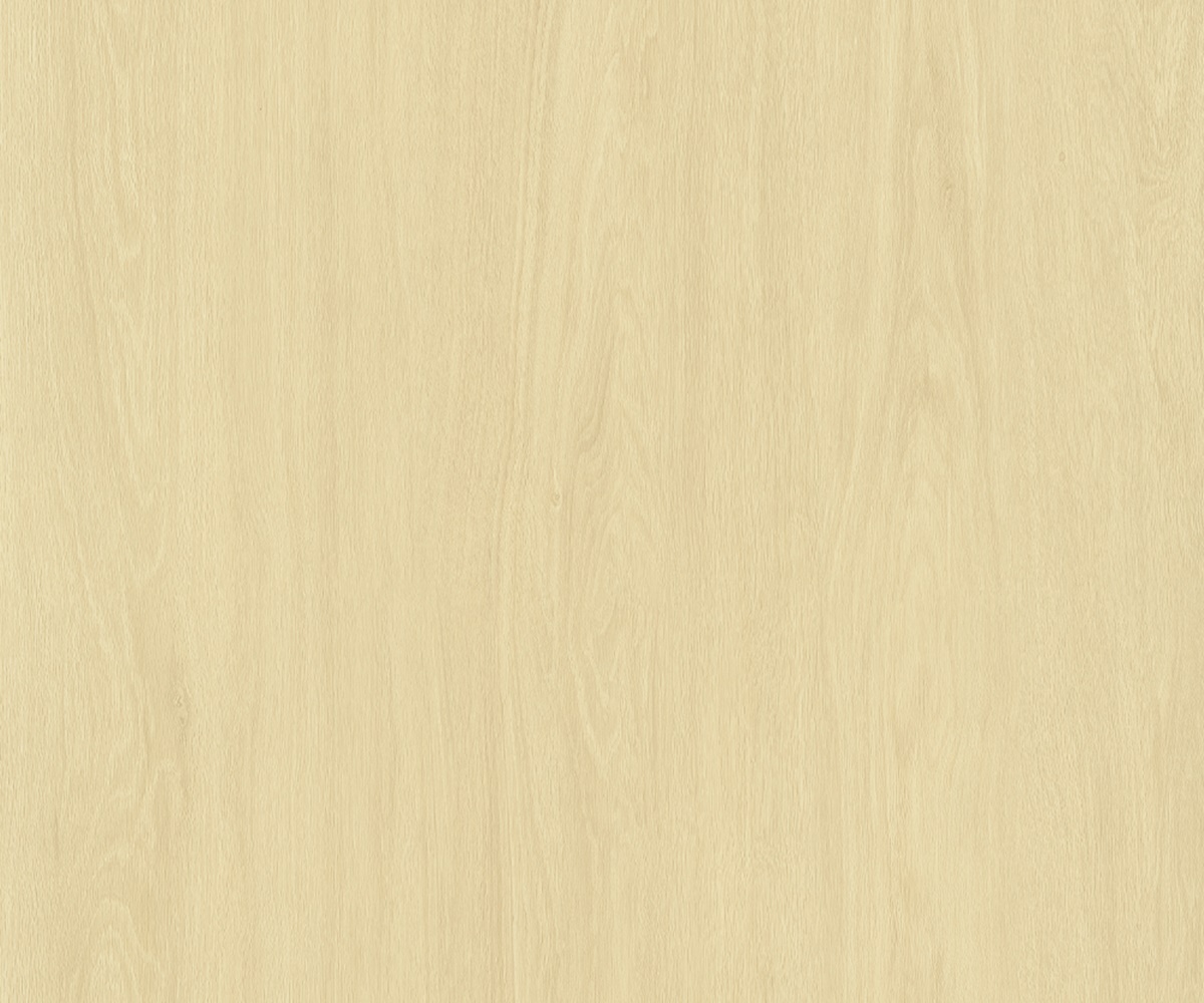 SP513-C3