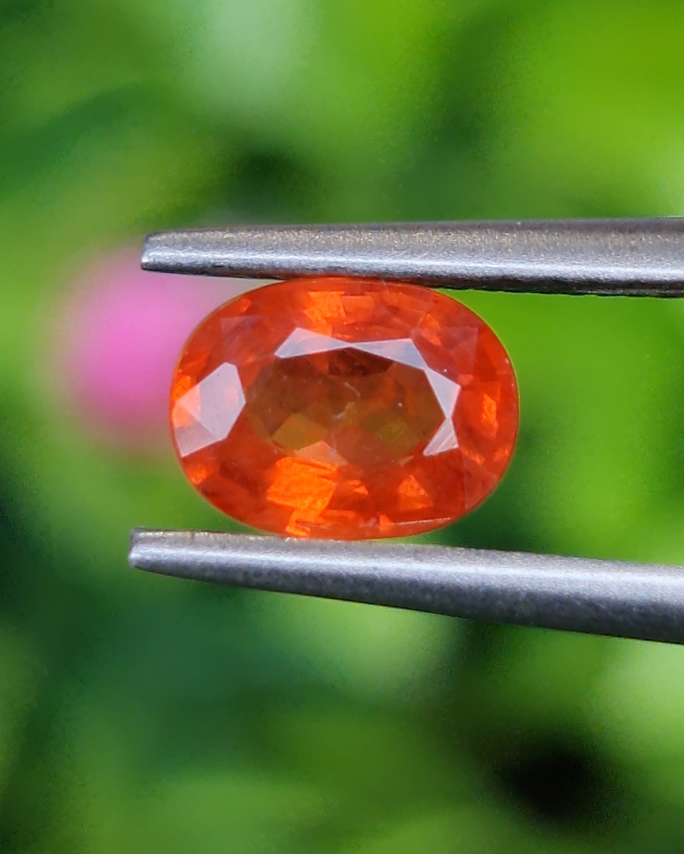 พลอย บุษราคัม Yellow Sapphire 0.95 กะรัต (Cts.) พลอยแท้ อัญมณีมงคลประจําวันเกิด เครื่องประดับพลอย