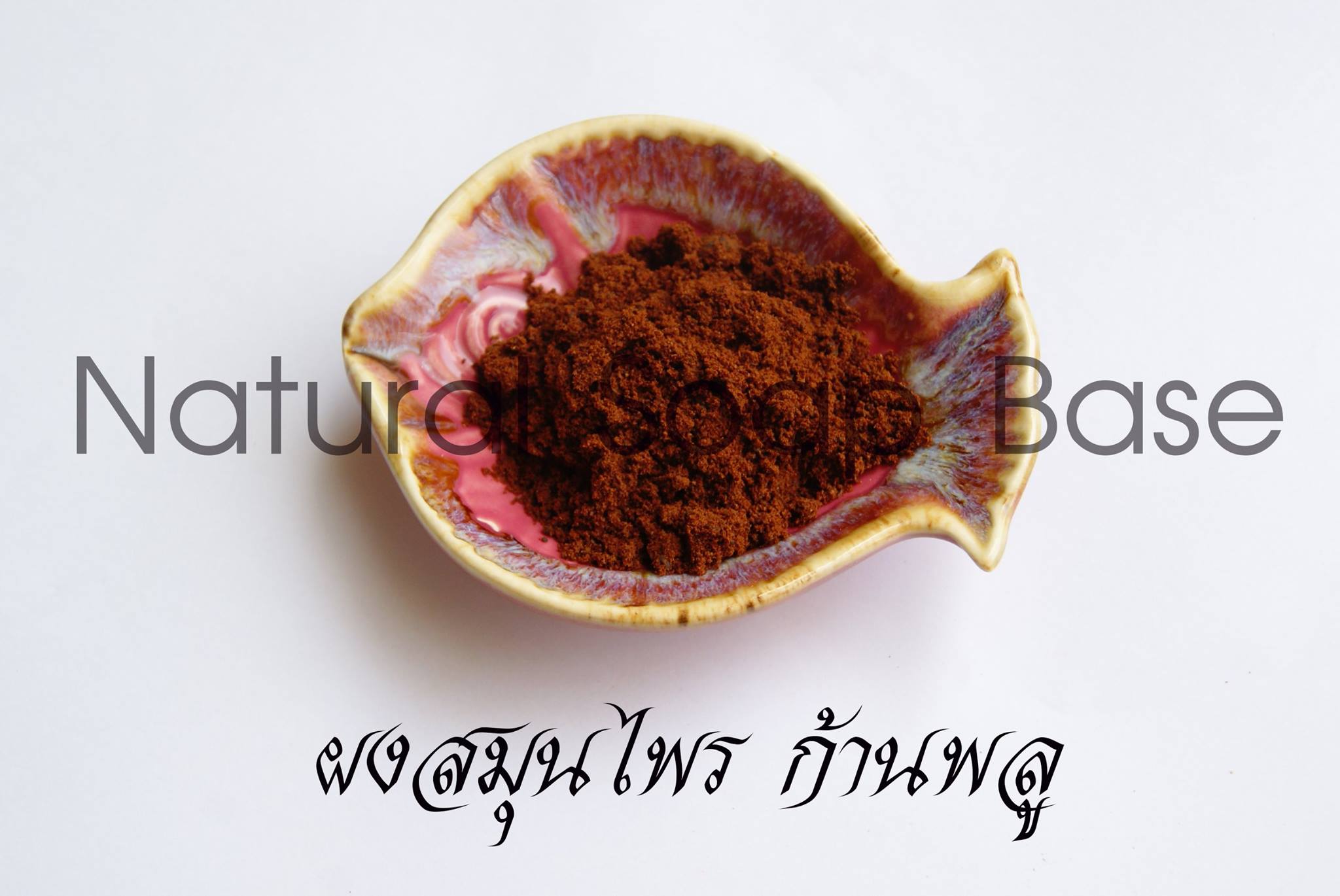 กานพลู (Clove) บรรจุ 50 กรัม (ราคารวม Vat 7%)