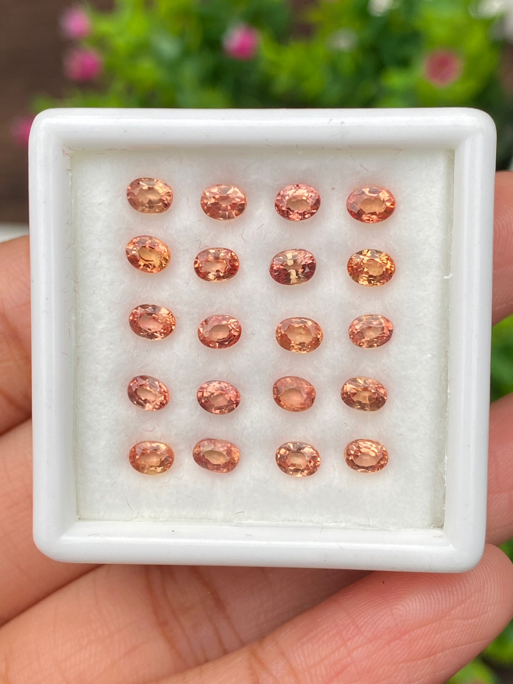 พลอย ซองเจีย ส้มอมชมพู (Pinkish Orange Sapphire) 5.71 กะรัต (Cts.) 20 เม็ด (Pcs) พลอยแท้ อัญมณีมงคลประจําวันเกิด เครื่องประดับพลอย