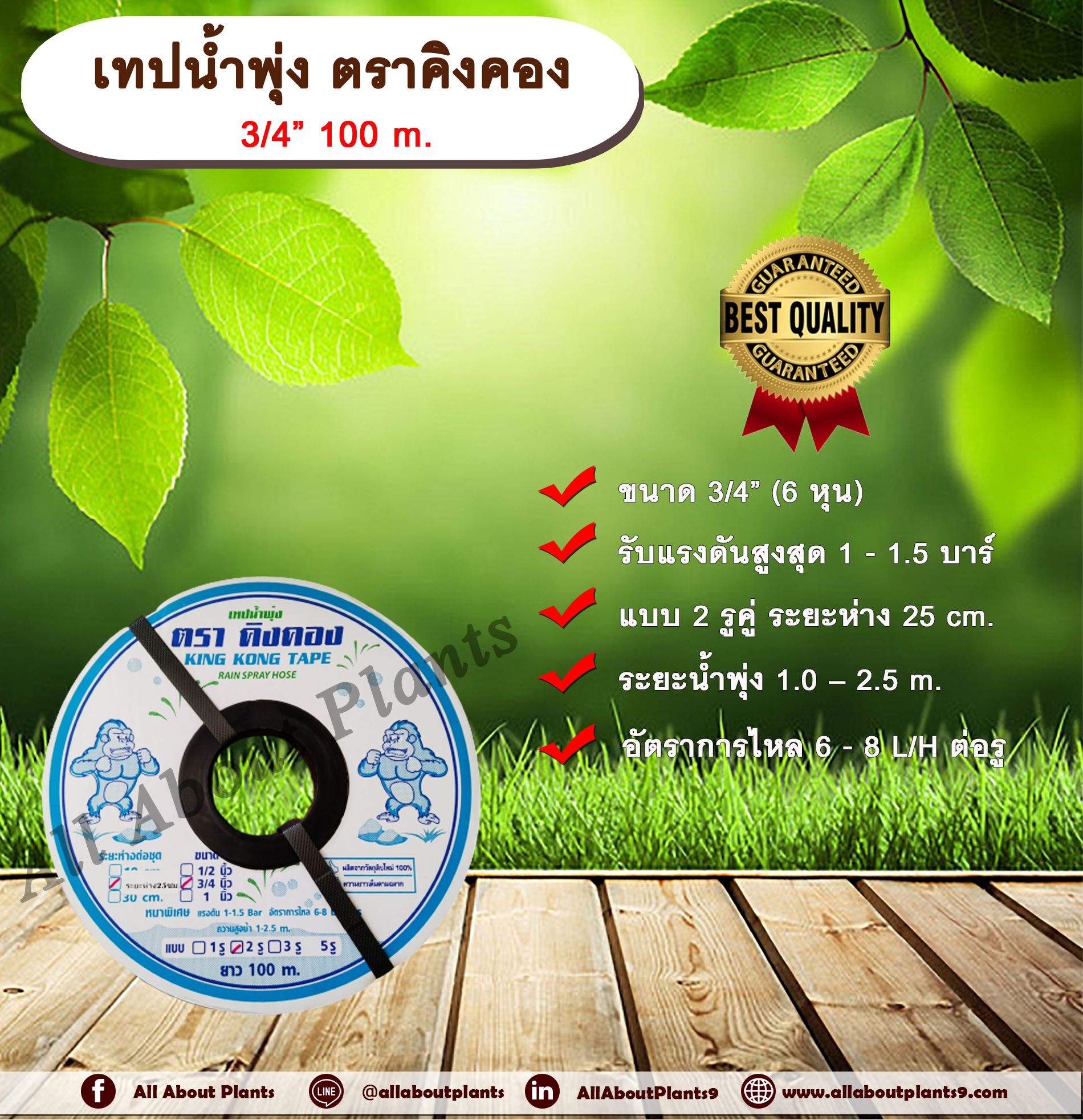 เทปน้ำพุ่ง ตราคิงคอง 3/4 “ 100 m. เทปน้ำพุ่ง แบบ 2 รูคู่ ขนาด 3/4 นิ้ว (6 หุน) ยาว 100 ม. Allaboutplants ชิ้น