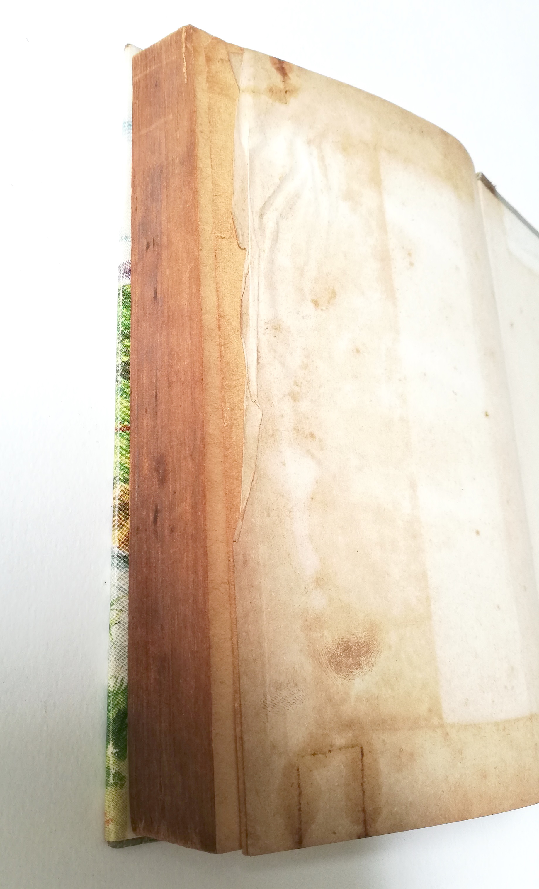 หนังสือนิยายเก่ามาก **มีตำหนิตามภาพ "เจน แอร์" จาก JANE EYRE โดย CHARLOTTE BRONTE จบในเล่ม เรื่องราวชีวิต ความรัก และการผจญภัยของยอดหญิงคนหนึ่ง ที่สวยและมีจิตใจงดงาม และได้พกบรักกับชายสูงศักดิ์ ซึ่งเป็นความรักต้องห้าม...