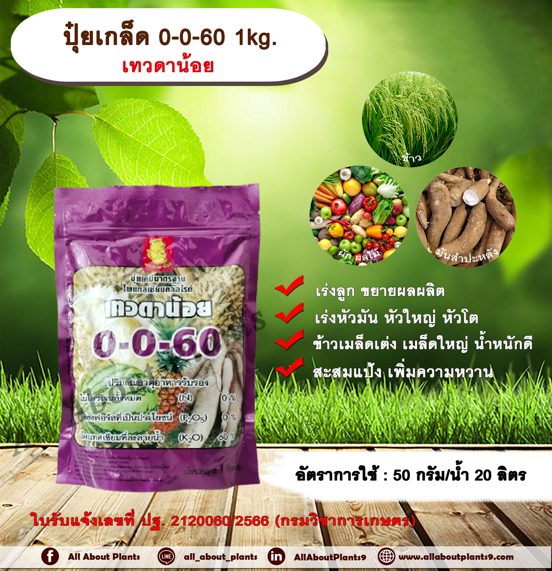ปุ๋ยเกล็ด 0-0-60 1kg. ตราเทวดาน้อย ปุ๋ยเกล็ด เร่งลูก ขยายผลผลิต เร่งหัวมัน หัวใหญ่ หัวโต ข้าวเมล็ดเต่ง เมล็ดใหญ่ น้ำหนักดี สะสมแป้ง เพิ่มความหวาน โพแทสเซียมคลอไรด์ ชิ้น