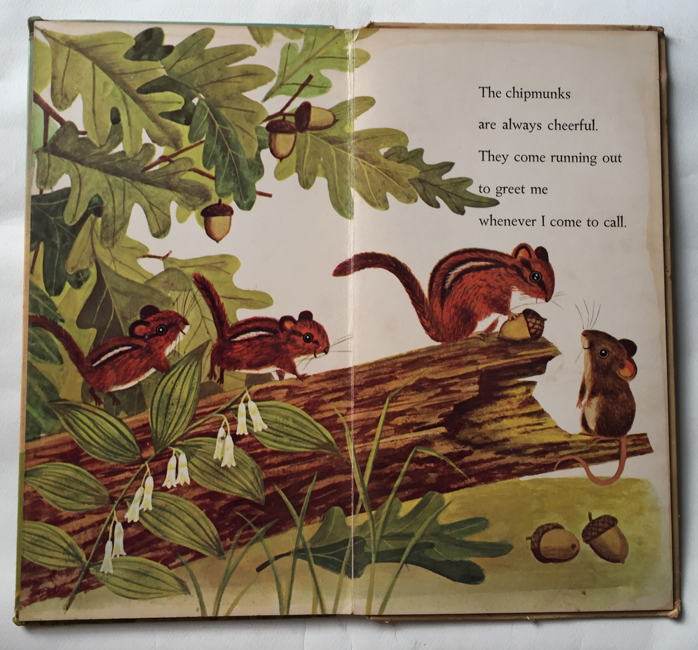 หนังสือนิทานเก่าภาพสวยปกแข็ง ปี 1964 ฉบับภาษาอังกฤษ "I am a Mouse", a golden sturdy happy book **มีตำหนิตามภาพ