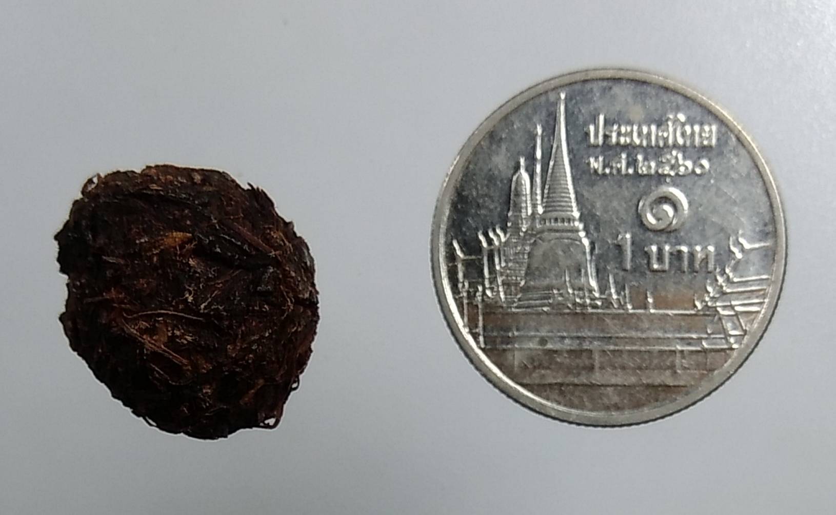 ร018 ชานหมาก หลวงปู่ขุ้ย วัดซับตะเคียน จ.เพชรบูรณ์