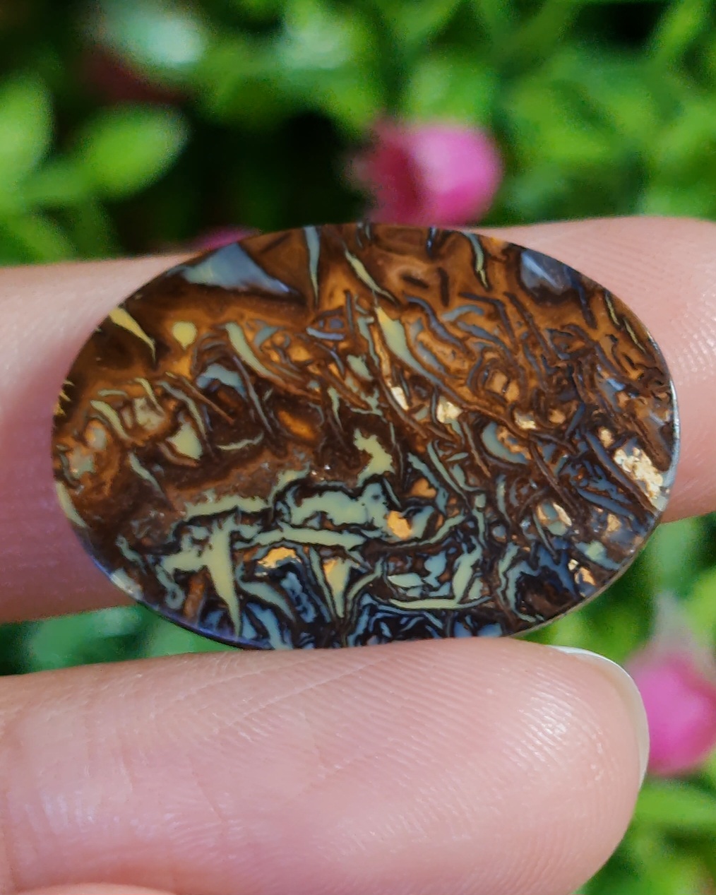 พลอย โบลเดอร์ โอปอล ออสเตรเลีย Australian Boulder Opal 26.9 กะรัต (Cts.) พลอยแท้ อัญมณีมงคลประจําวันเกิด เครื่องประดับพลอย