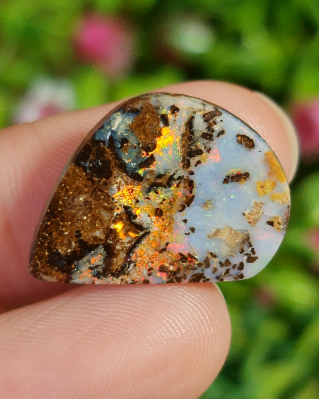 พลอย โบลเดอร์ โอปอล ออสเตรเลีย Australian Boulder Opal 14.3 กะรัต (Cts.) พลอยแท้ อัญมณีมงคลประจําวันเกิด เครื่องประดับพลอย