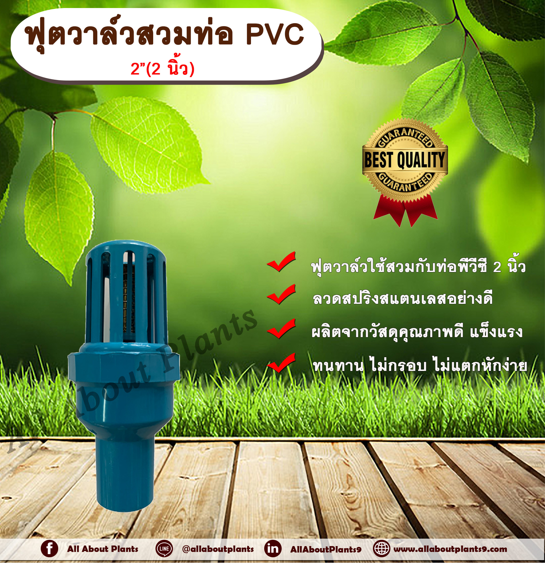 ฟุตวาล์วสวมท่อ PVC 2” ลิ้นสปริง ฟุตวาล์วขนาด 2 นิ้ว ฟุตวาล์วลิ้นสปริง ฟุตวาล์วพีวีซี ฟุตวาล์วดูดน้ำ Foot valve allaboutplants ชิ้น
