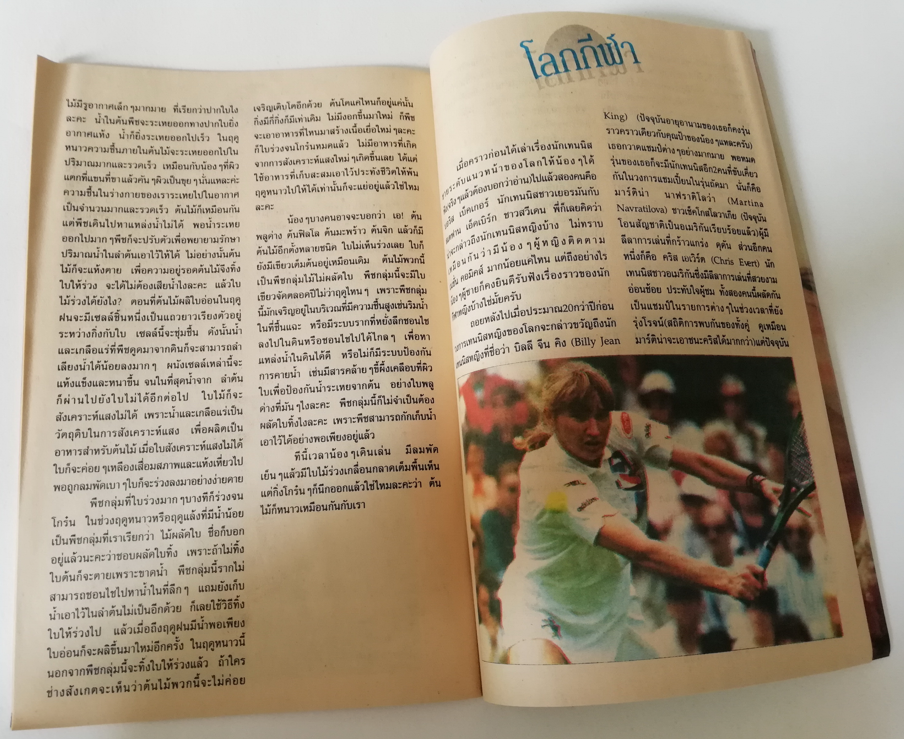 หนังสือการ์ตูน DC comics การ์ตูนภาษาไทย-อังกฤษ แบทแมน BATMAN ฉบับที่ 10 ตอน ปีศาจเคียวสยองขวัญ BATMAN YEAR 2 PART1 โดย BARR,DAVIS &NEARY จาก เนชั่นคอมิคส์