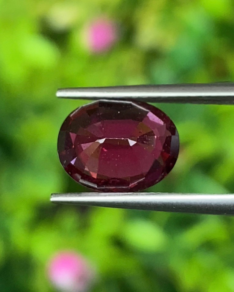 พลอย โรโดไลต์ กาเน็ท Rhodolite Garnet 2.85 กะรัต Cts.พลอยแท้ อัญมณีมงคลประจําวันเกิด เครื่องประดับพลอย