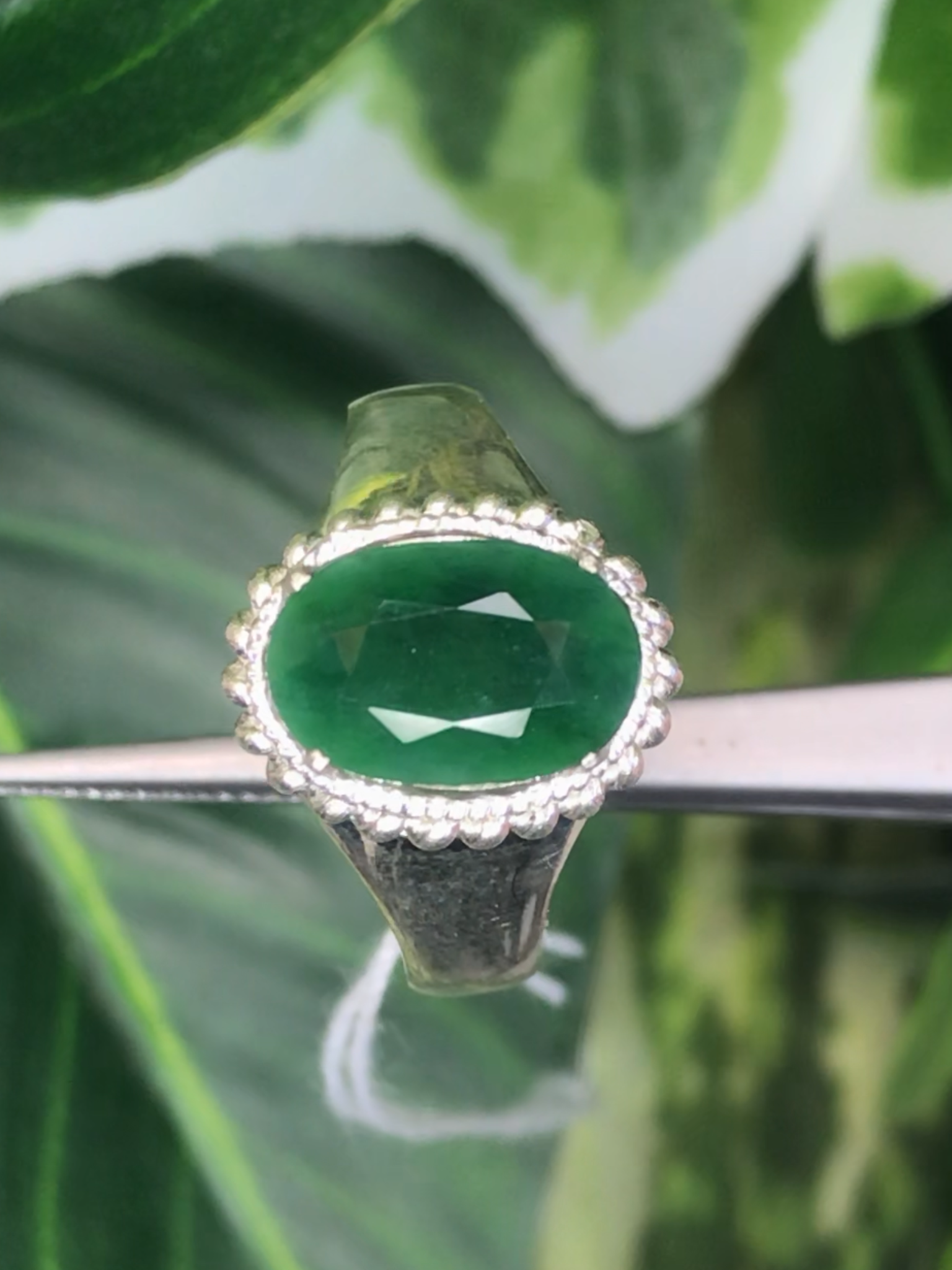 หยก พม่า แท้ Jade แหวนหยก 翡翠戒指 (Jadeite ring) ดิบ (Size) 55 ไม่ผ่านการปรับปรุง (Type A) พม่า (Myanmar)