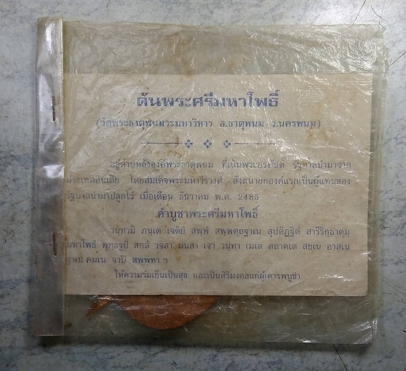 ร028 ใบโพธิ์ ต้นพระศรีมหาโพธิ์ วัดพระธาตุพนม จ.นครพนม