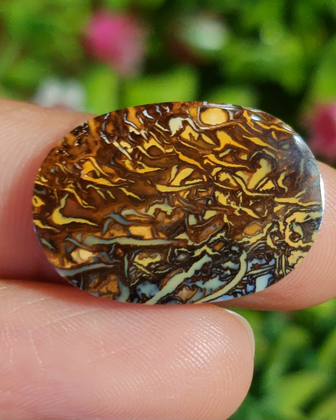 พลอย โบลเดอร์ โอปอล ออสเตรเลีย Australian Boulder Opal 13.50 กะรัต (Cts.) พลอยแท้ อัญมณีมงคลประจําวันเกิด เครื่องประดับพลอย