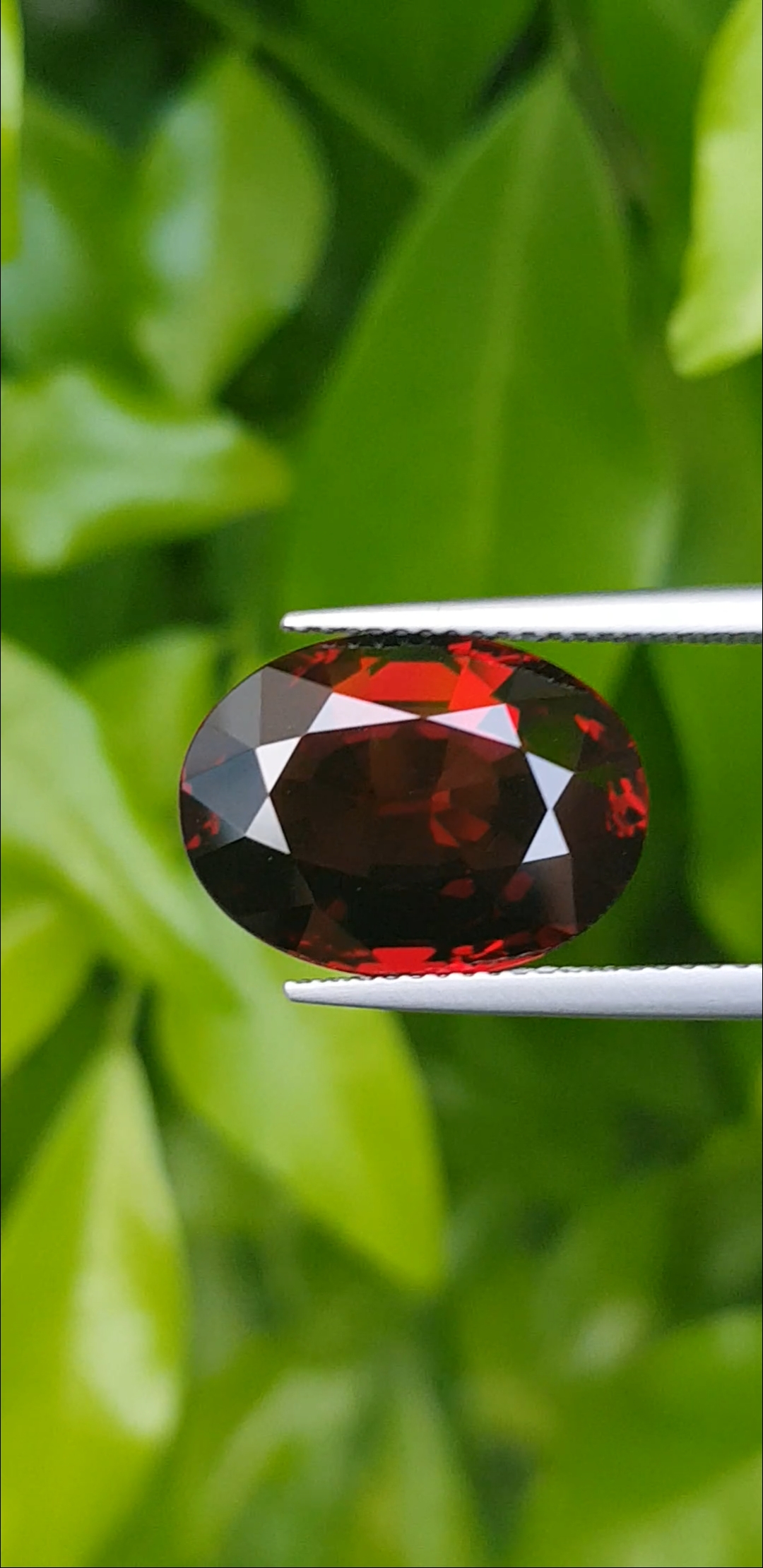 พลอย โรโดไลต์ กาเน็ท Rhodolite Garnet 10.13 กะรัต Cts. พร้อมใบเซอร์ พลอยแท้ อัญมณีมงคลประจําวันเกิด เครื่องประดับพลอย