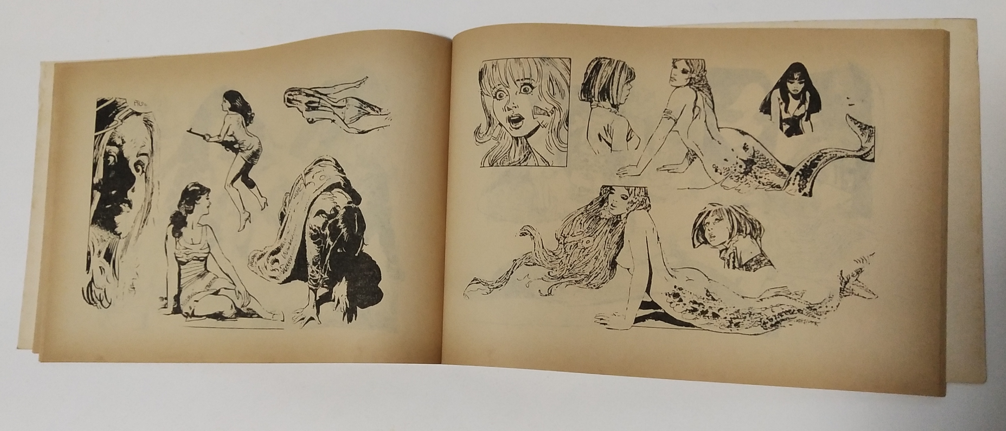 หนังสือภาพเก่าปี 2526 "รวมภาพแอ๊คชั่น หญิง" รวบรวมโดย ส. ธนารัตนสฤษดิ์