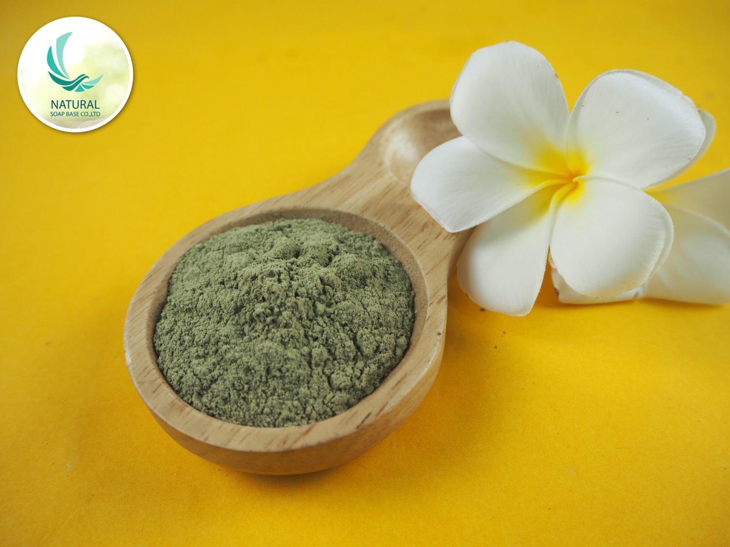 ฟ้าทะลายโจร (Andrographis paniculata) บรรจุ 50 กรัม (ราคารวม Vat 7%)