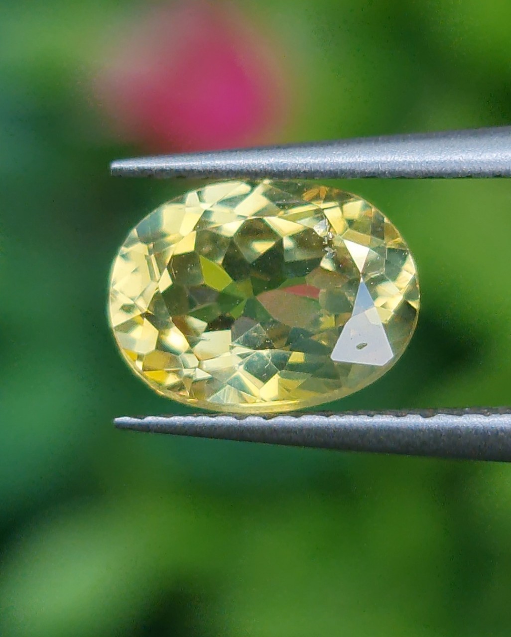 พลอย คริโซเบริล (Chrysoberyl) 1.23 กะรัต (Cts.) พลอยแท้ อัญมณีมงคลประจําวันเกิด เครื่องประดับพลอย