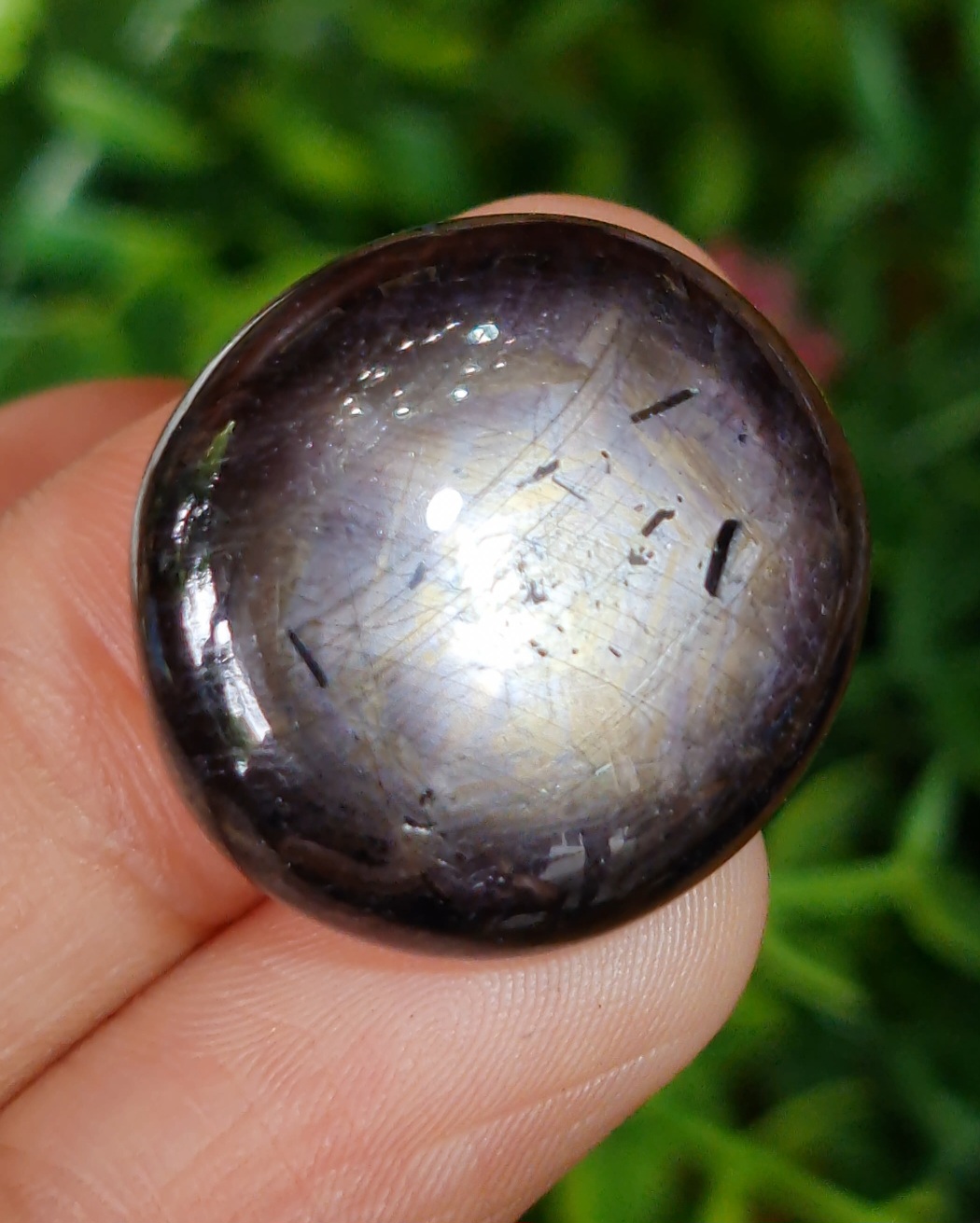 พลอย แบล็ค สตาร์ แซฟไฟร์ Black Star Sapphire 73.14 กะรัต (Cts.) ดิบ Unheated พลอยแท้ อัญมณีมงคลประจําวันเกิด เครื่องประดับพลอย