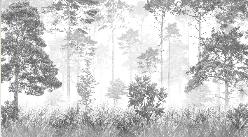 Wallpaper Digital Printing TR24029