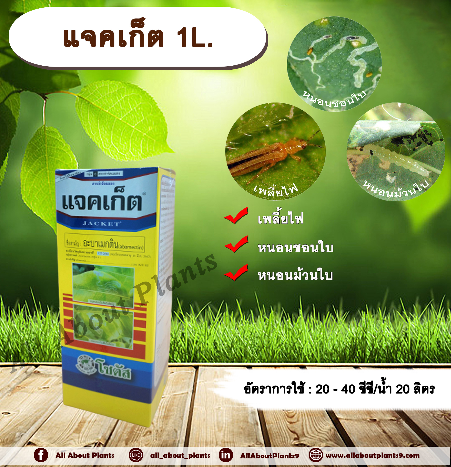 แจคเก็ต 1L. อะบาเม็กติน สารกำจัดแมลง เพลี้ยไฟ หนอนชอนใบ หนอนม้วนใบ สารกำจัดศัตรูพืช allaboutplants ชิ้น