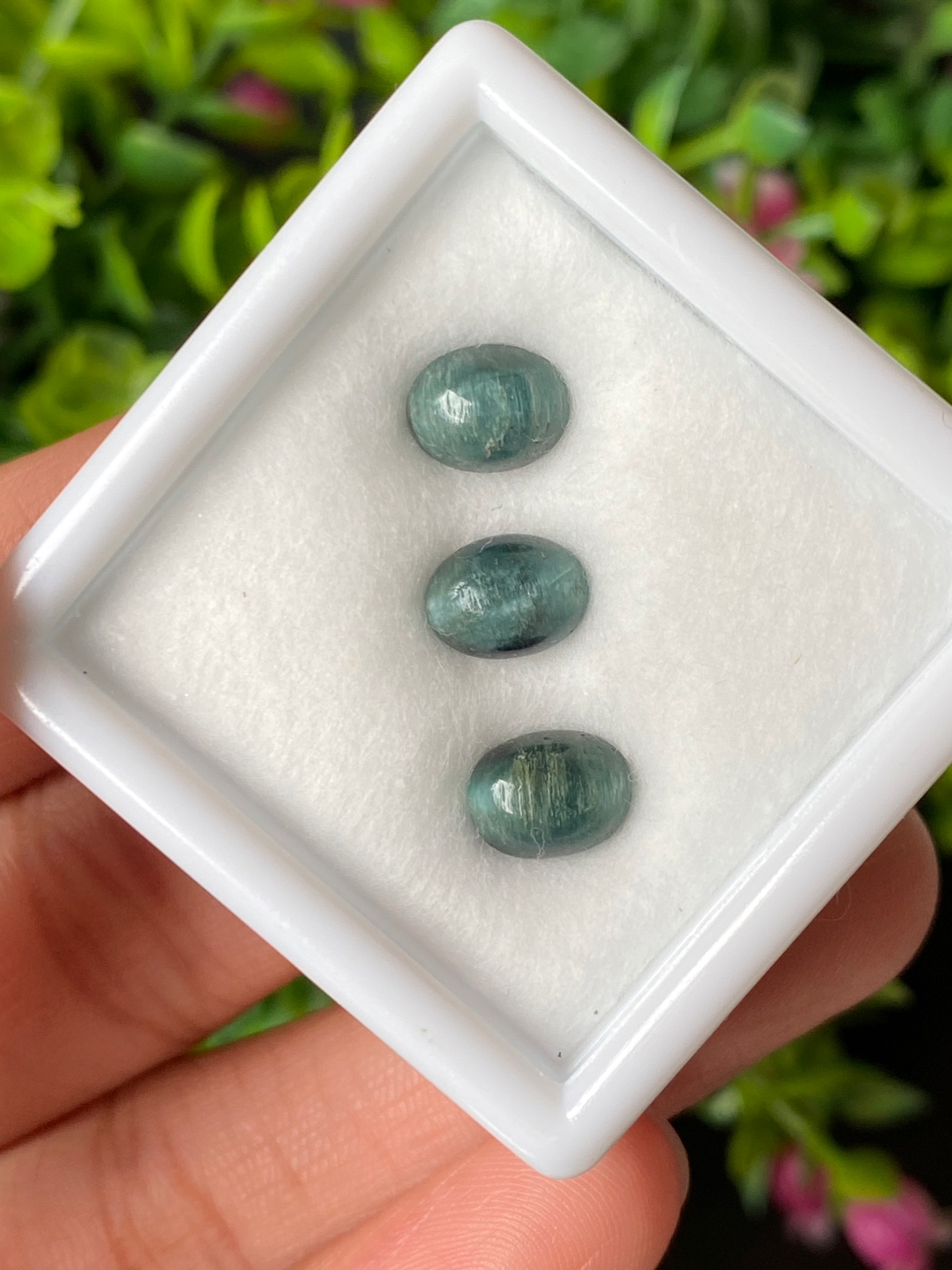 ตาแมว ทัวร์มาลีน Cat eye Tourmaline 4.81 กะรัต Cts. 3 เม็ด (Pcs.) พลอยแท้ อัญมณีมงคลประจําวันเกิด เครื่องประดับพลอย