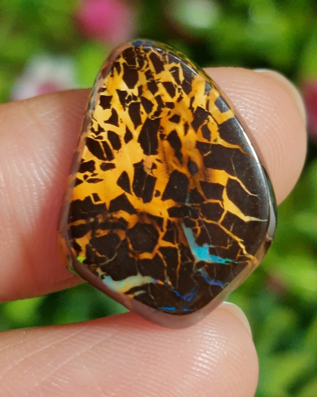 พลอย โบลเดอร์ โอปอล ออสเตรเลีย Australian Boulder Opal 15.10 กะรัต (Cts.) พลอยแท้ อัญมณีมงคลประจําวันเกิด เครื่องประดับพลอย