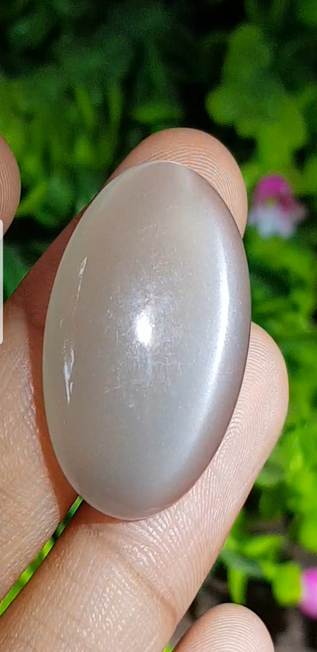 พลอย ตาแมว มูนสโตน Cat eye Moonstone 32.69 กะรัต (Cts.)พลอยแท้ อัญมณีมงคลประจําวันเกิด เครื่องประดับพลอย