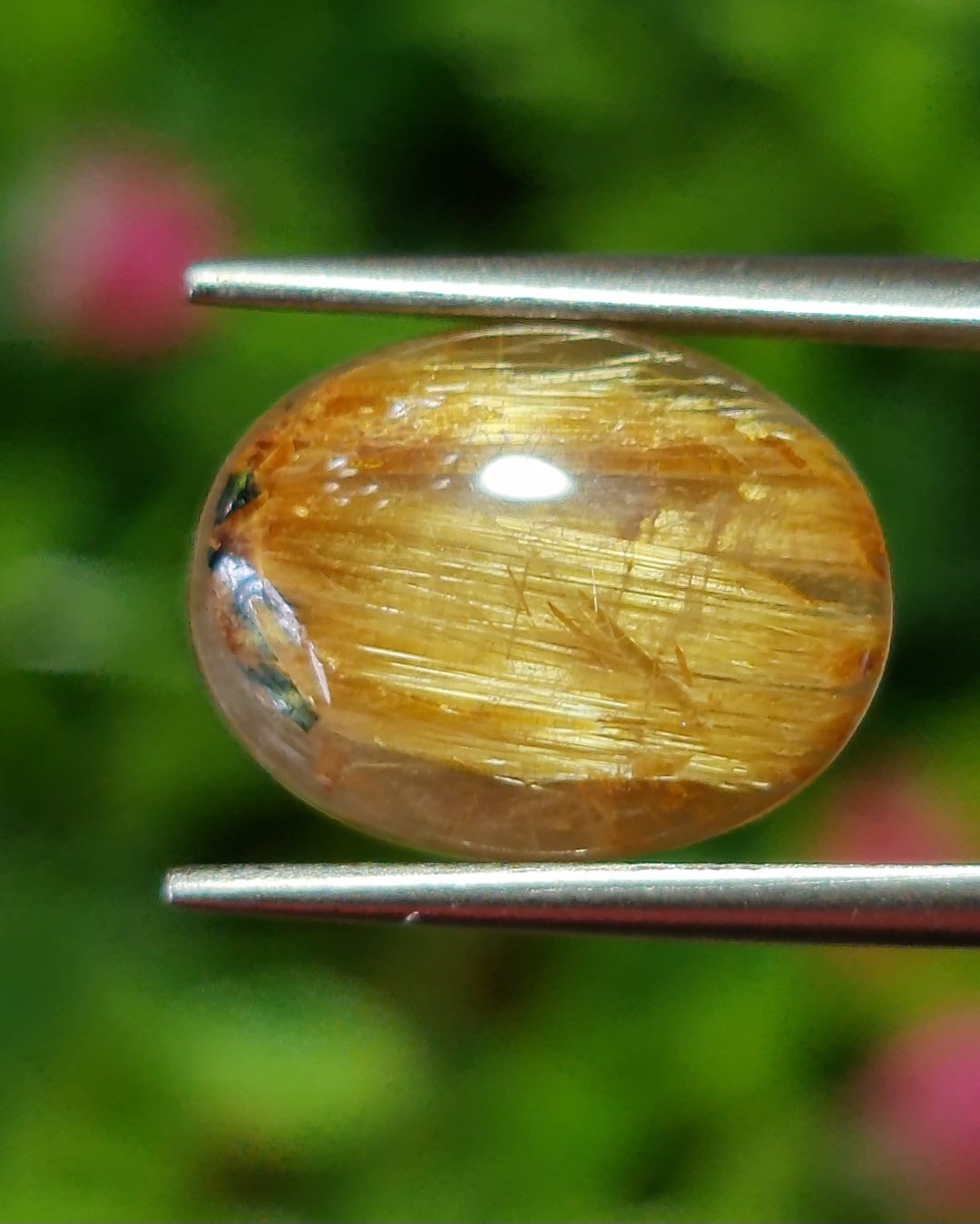 ตาแมว ไหมทอง ควอตซ์ Cat eye Golden Rutilated Quartz 6.29 กะรัต Cts.พลอยแท้ อัญมณีมงคลประจําวันเกิด เครื่องประดับพลอย