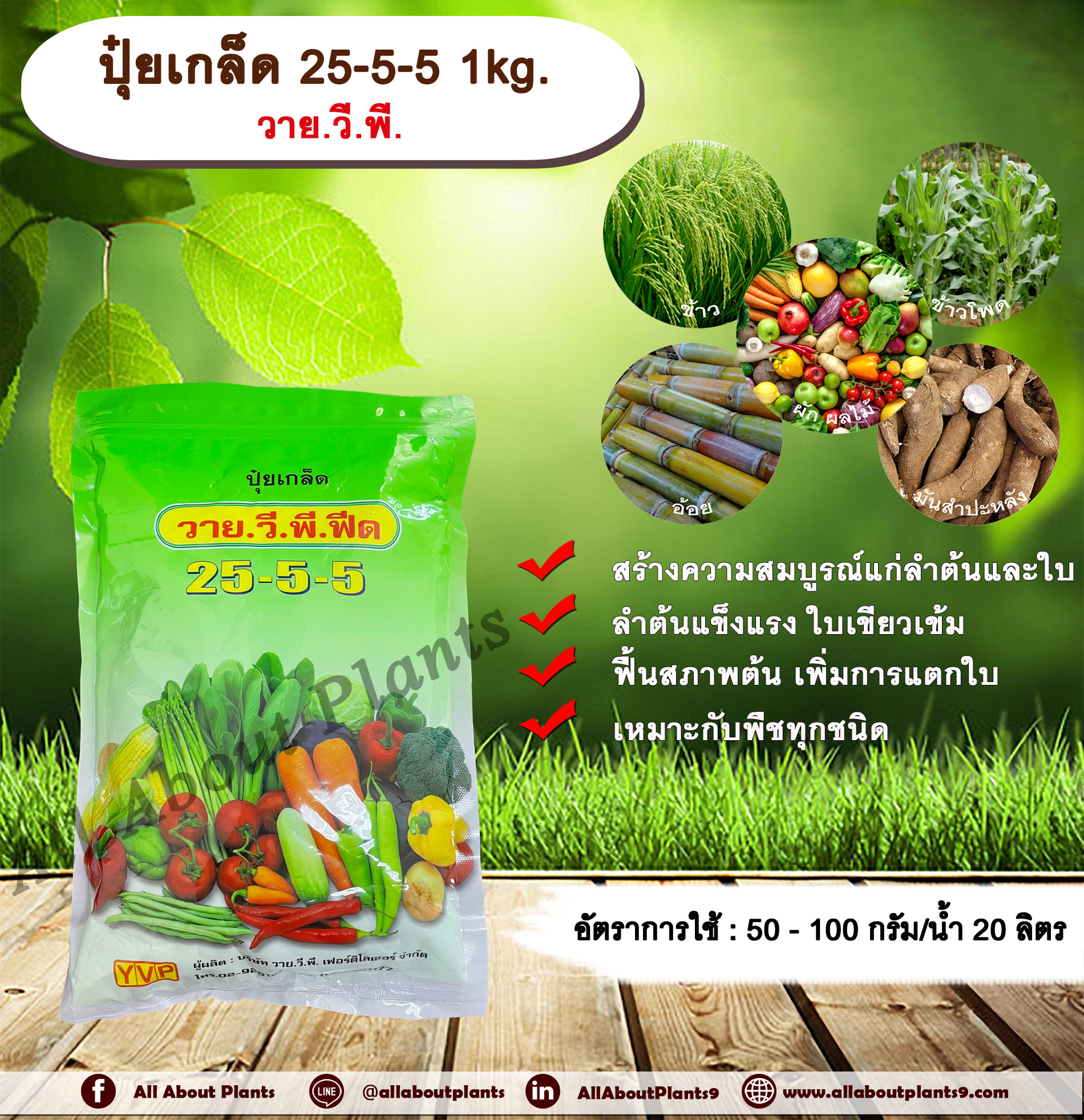 ปุ๋ยเกล็ด 25-5-5 1kg. วาย.วี.พี. เร่งต้น เร่งใบ พืชเจริญเติบโต ต้นสมบูรณ์ ใบเขียวเข้ม ฟื้นสภาพต้น แตกใบ ใบเขียว ต้นโต ชิ้น
