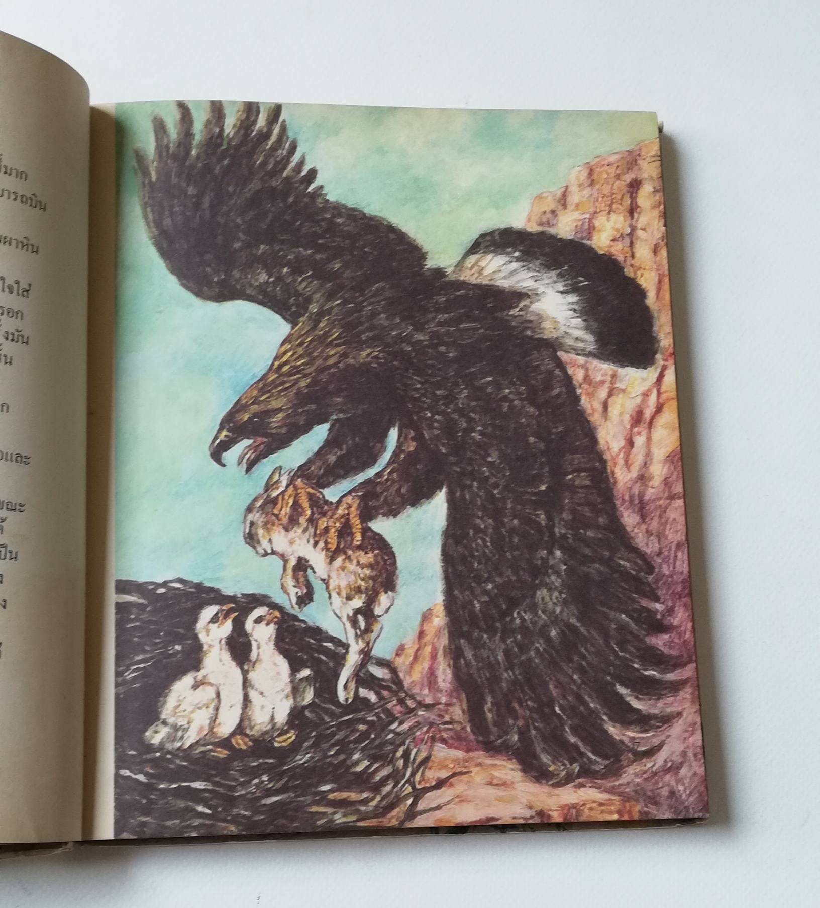 มีหลายภาพ หนังสือภาพการ์ตูนเก่า ปกแข็ง เล่มหนา จาก บริทานิกา เรื่อง สารานุกรมสำหรับเด็ก เล่มที่ 5