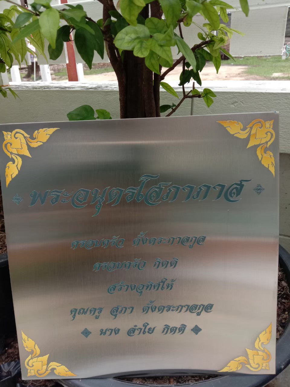 ป้ายกัดกรด