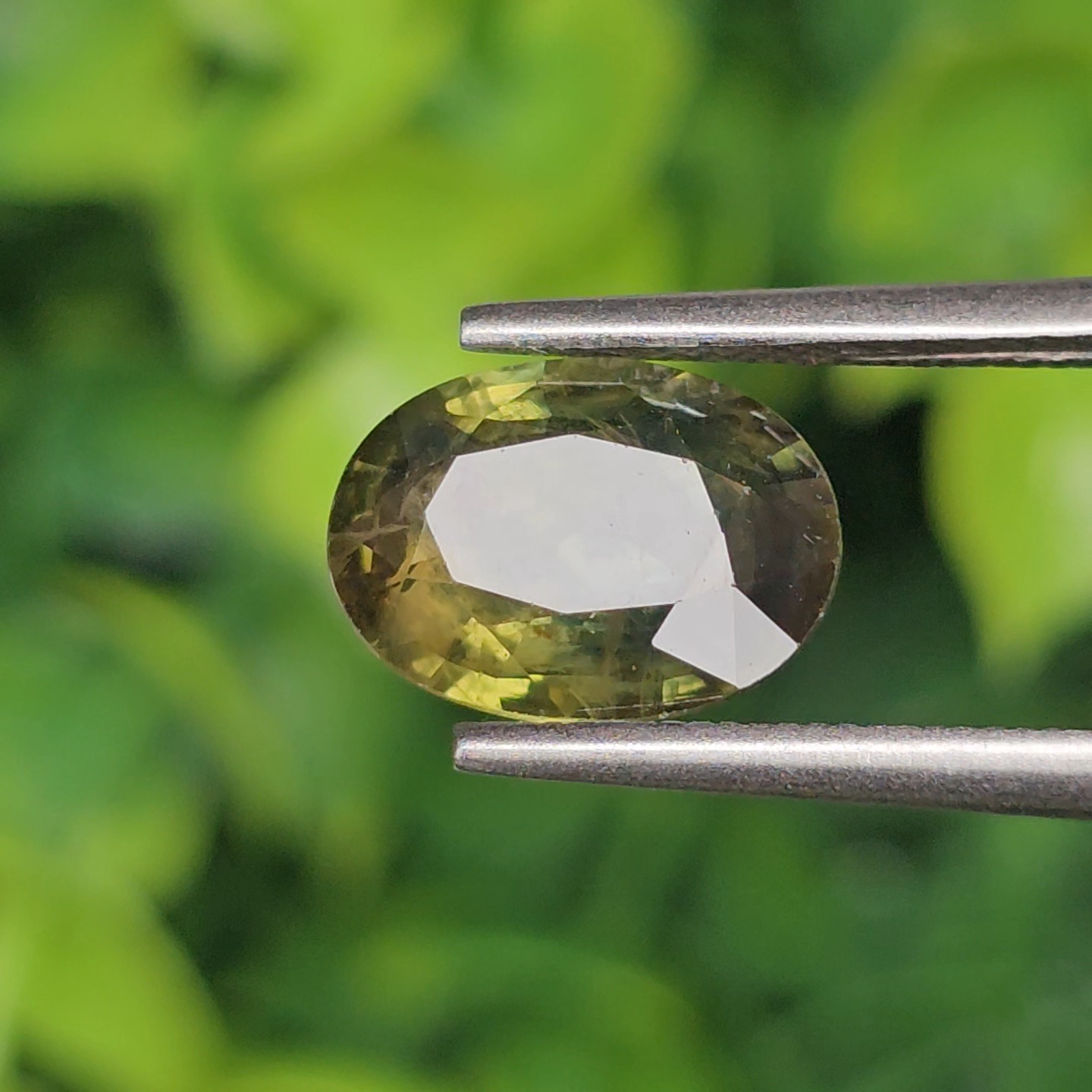 พลอย เขียวส่อง Green Sapphire 2.87 กะรัต (Cts.) พลอยแท้ อัญมณีมงคลประจําวันเกิด เครื่องประดับพลอย