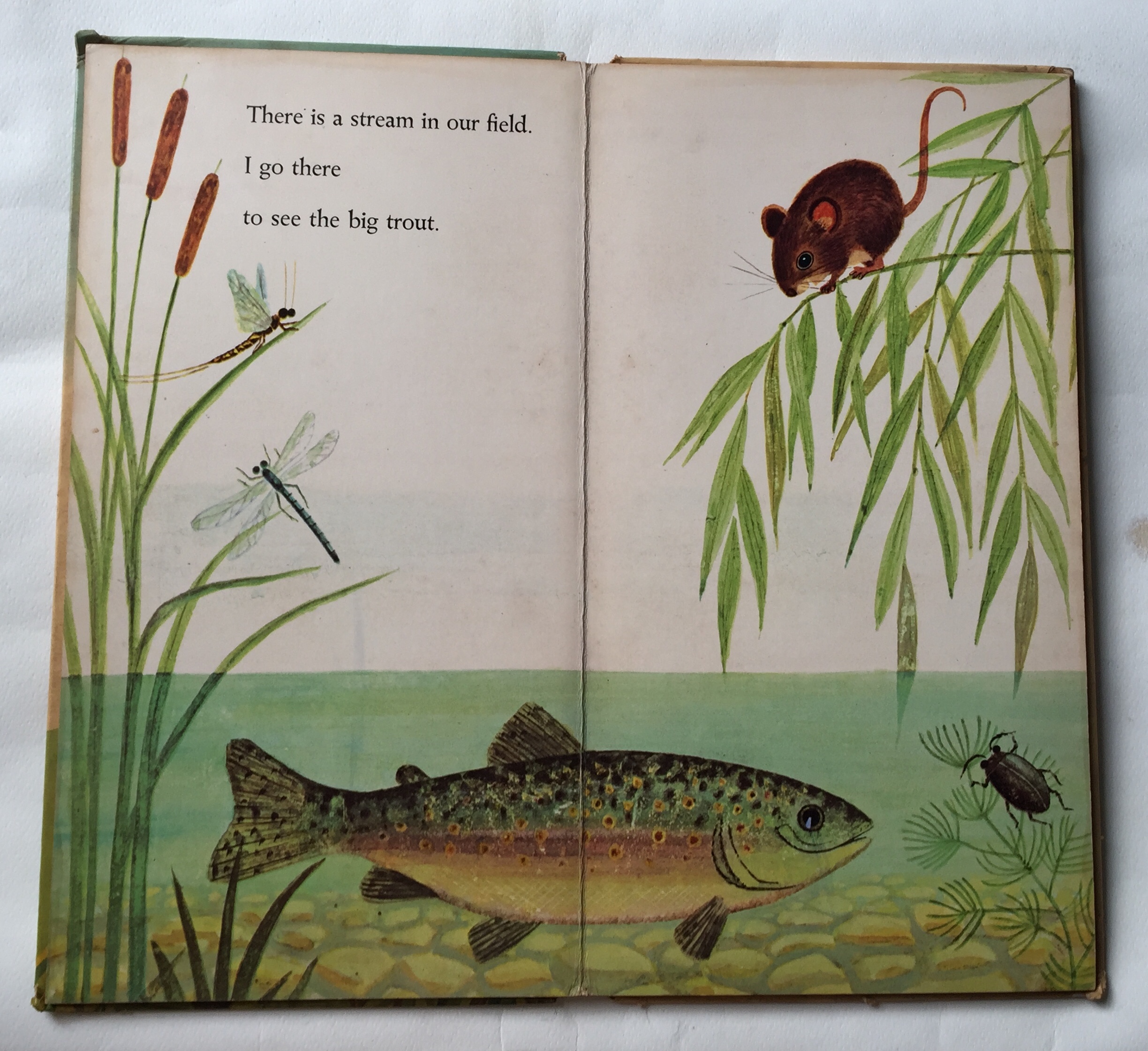 หนังสือนิทานเก่าภาพสวยปกแข็ง ปี 1964 ฉบับภาษาอังกฤษ "I am a Mouse", a golden sturdy happy book **มีตำหนิตามภาพ