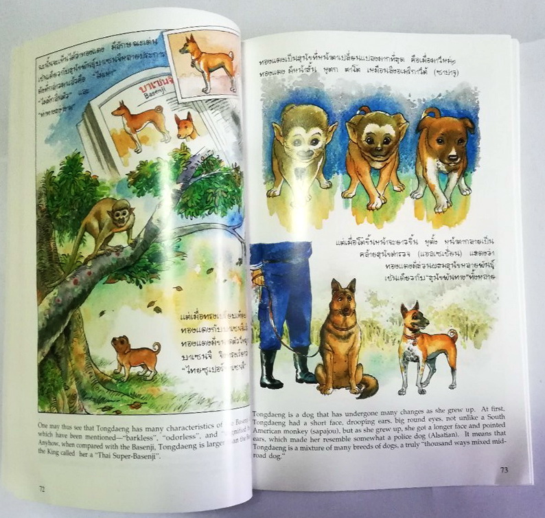 หนังสือเก่า ****มีตำหนิ หน้าสุดท้ายติดปกหลัง พระราชนิพนธ์ พระบาทสมเด็จพระเจ้าอยู่หัวภูมิพลอดุลยเดช His Majesty King Bhumibol Adulyadej Biography of a Pet Dog เรื่อง ทองแดง ฉบับการ์ตูน พิมพ์ซ้ำครั้งที่ 2 พฤศจิกายน 2547 ผู้เขียนการ์ตูนประกอบพระราชนิพนธ์ : ช