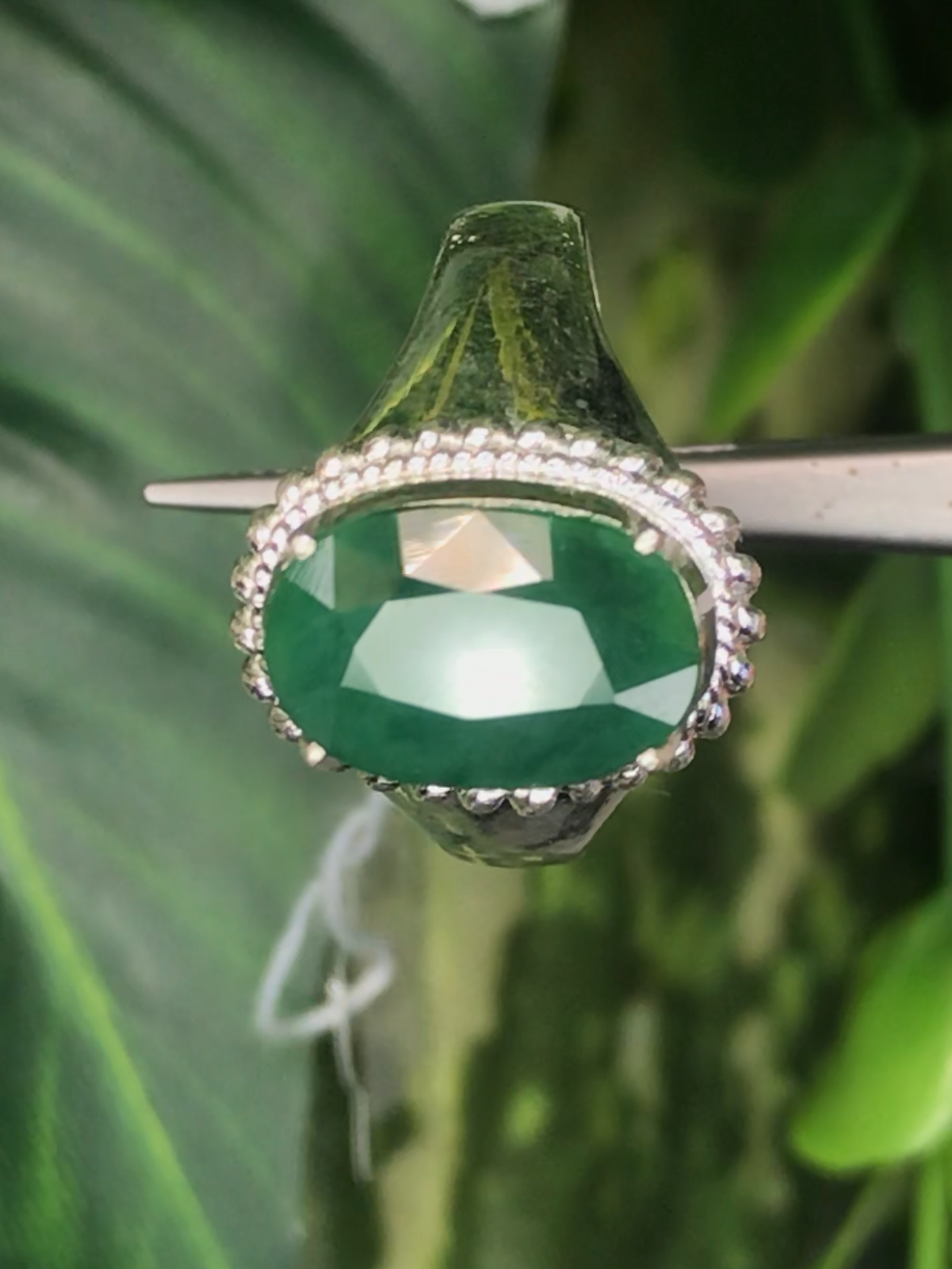 หยก พม่า แท้ Jade แหวนหยก 翡翠戒指 (Jadeite ring) ดิบ (Size) 56 ไม่ผ่านการปรับปรุง (Type A) พม่า (Myanmar)
