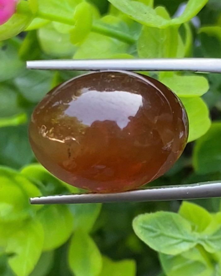 พลอย ตาแมว อะพาไทต์ Cat eye Apatite 25.00 กะรัต (Cts.) พลอยแท้ อัญมณีมงคลประจําวันเกิด เครื่องประดับพลอย